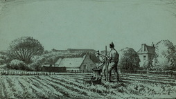 Soldiers Harvesting Crops