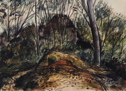 Devil's Den Underbrush