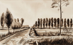 Holland Landscape-south Of Vechel