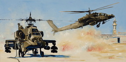 Desert Storm 101st Style