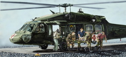 Task Force Medical Falcon, Kosovo