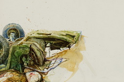 Study For Final Delicate Solution