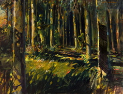 Rubber Plantation