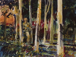 Rubber Plantation