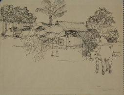 Vietnamese Home Near Cu Chi