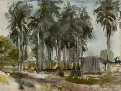 Countryside