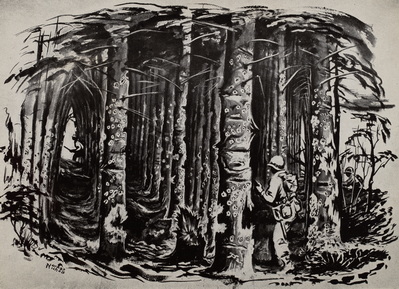 Screening The Woods