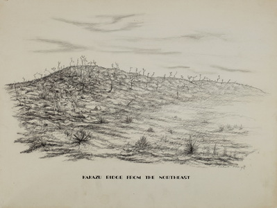 Kakazu Ridge from the Northeast