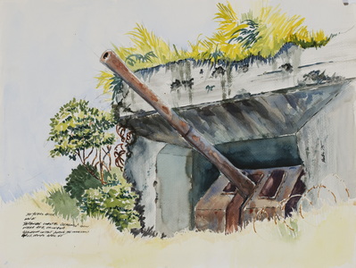 30 Years After - Okinawa
