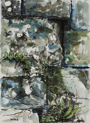 Lichens, Moses And Ferns