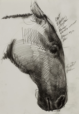 Sketch of Black Jack's Head