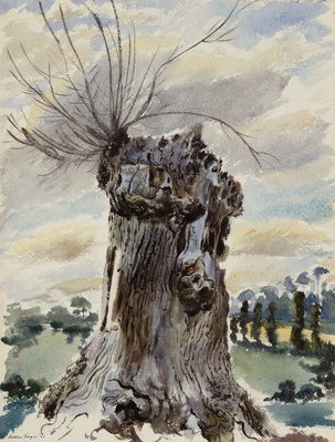 An Impressive Stump