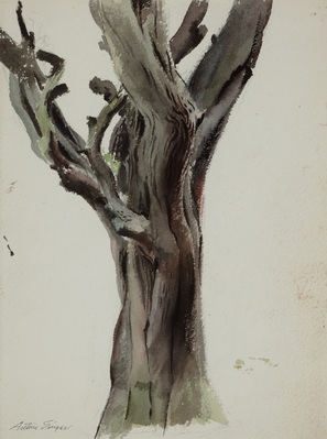 Old Oak Tree
