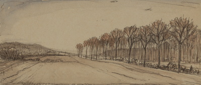Fields And Rows Of Trees