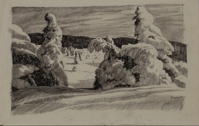 In The Ardennes-snowscope