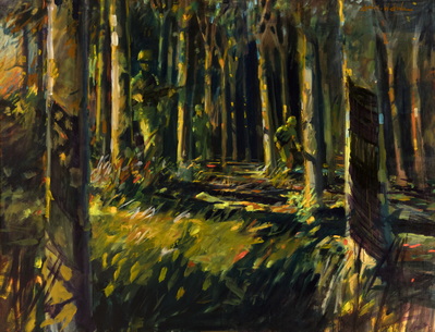 Rubber Plantation