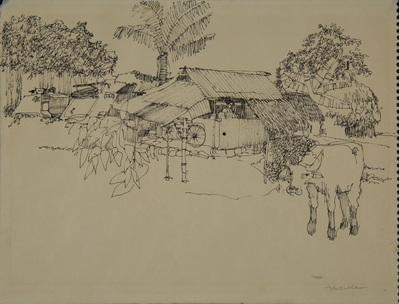 Vietnamese Home Near Cu Chi