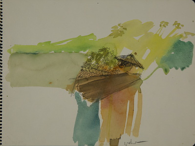 Vietnamese Woman Going To Market
