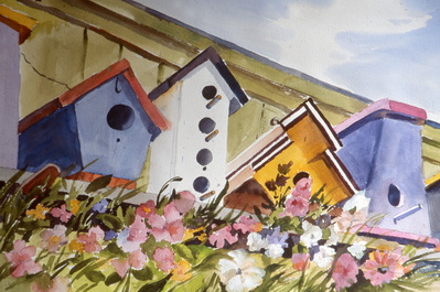 Maine Birds Houses