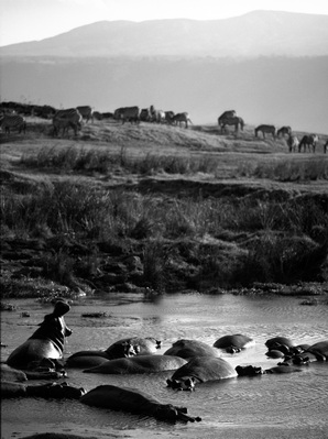 Ngorongoro Park, Tanzania