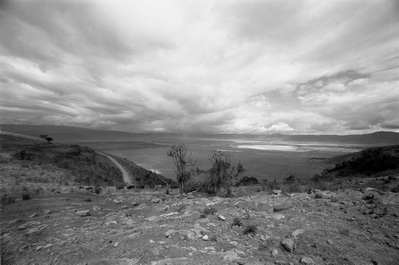 The Serengeti, Tanzania