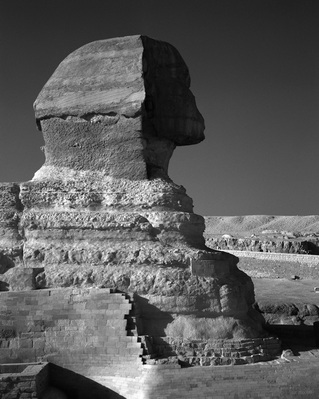 Sphinx