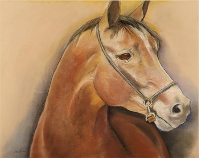 Horse Study 2