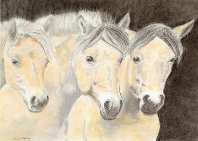 Trio