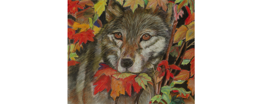 Wolf In Disguise by Nancy Mclean