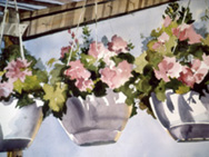 Hanging Baskets