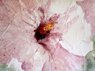 Hibiscus on Rice Paper