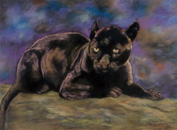 Black Jaguar 