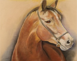 Horse Study 2