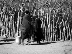 Masai Warriors, Tanzania