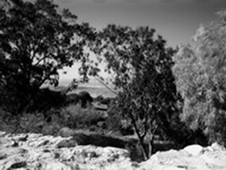 Mt. Tabor, Jezreel Valley
