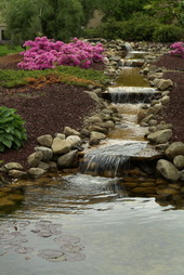 Serenity Stream