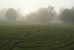 Mystical Morning Labyrinth