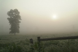 Foggy Sunrise