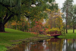 Autumn Pond