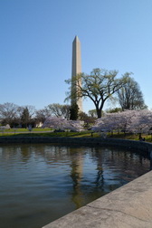 Washington Monument 