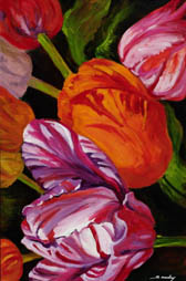 Tulips 5