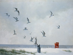 Gulls Feeding