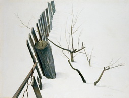 Snow Fence And Post