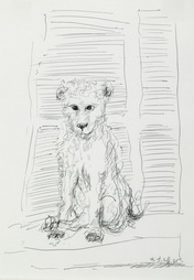Dog on Window Sill