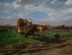 Girl With Cows