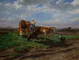 Girl With Cows