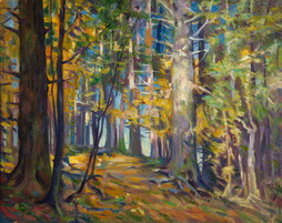 Autumn Forest Scene