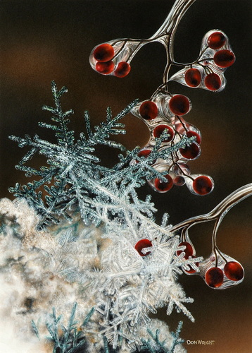 Frozen Currents