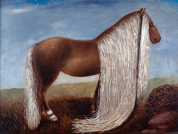 The Horse with the Longest Hair in the World