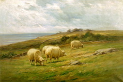 Seaside Sheep Pastures